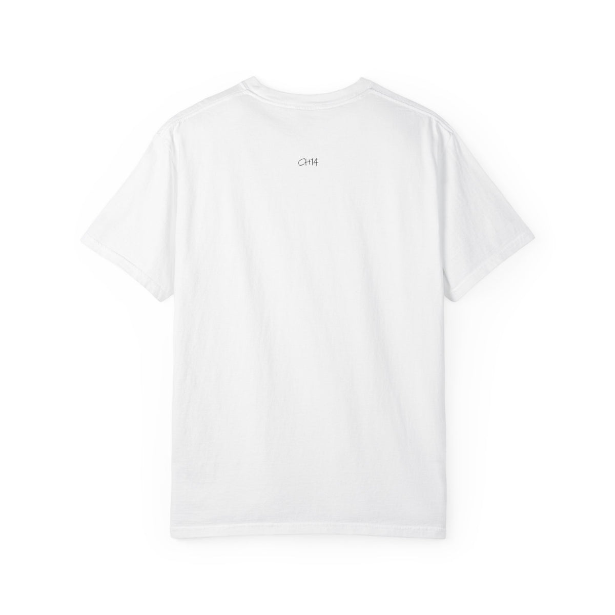 Dream Big, Flush Your Doubts' tee