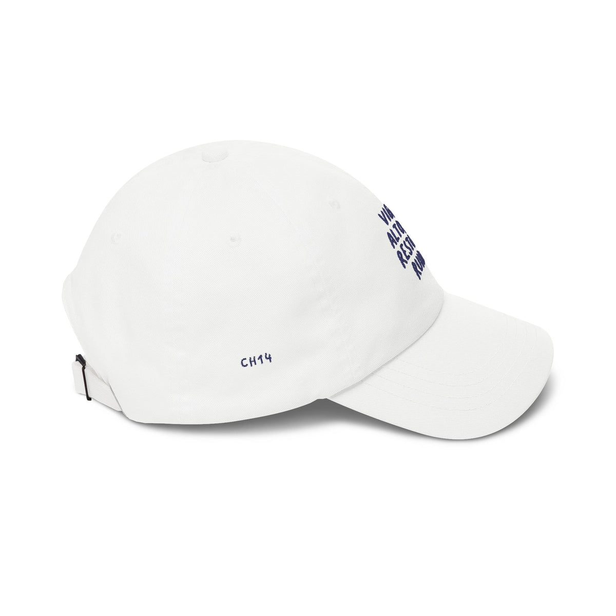 Vibra Alto Dad Cap