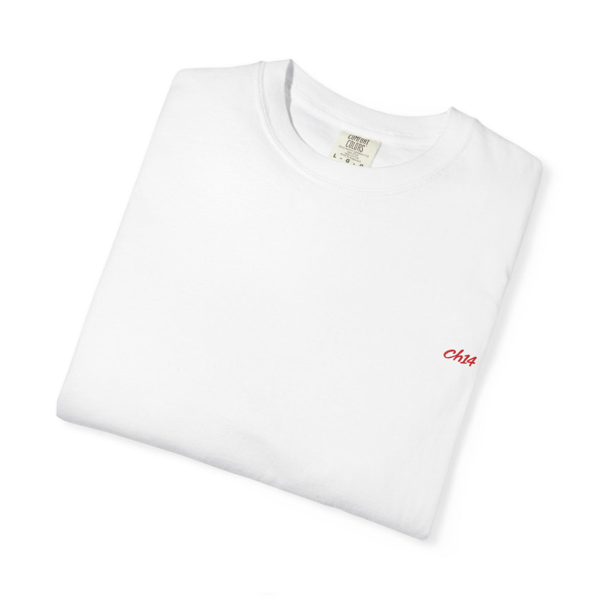 Professional Daydreamer Club' tee